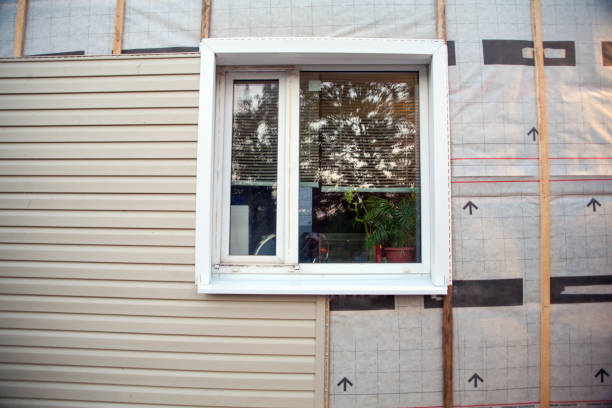 Best Storm Damage Siding Repair  in Van Meter, IA