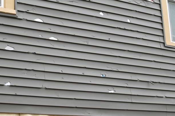 Affordable siding repair and maintenance services in Van Meter, IA