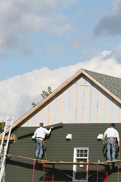 Best Siding Removal and Disposal  in Van Meter, IA