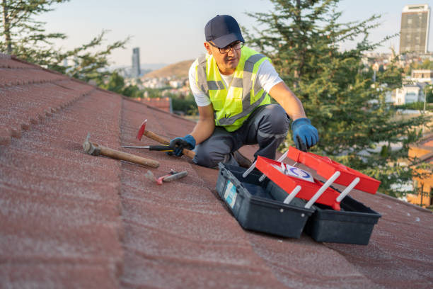 Best Historical Building Siding Restoration  in Van Meter, IA